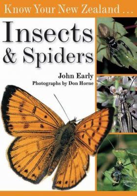 Know Your New Zealand Insects and Spiders