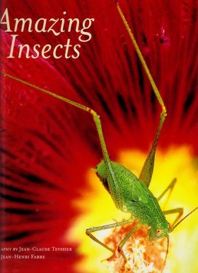 Amazing Insects