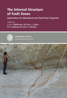 The Internal Structure of Fault Zones