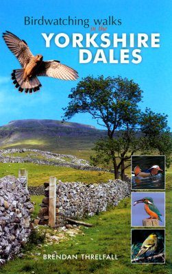Birdwatching Walks in the Yorkshire Dales
