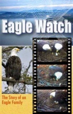 Eagle Watch