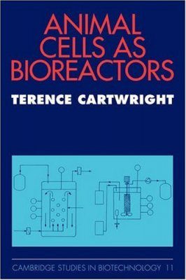 Animal Cells as Bioreactors