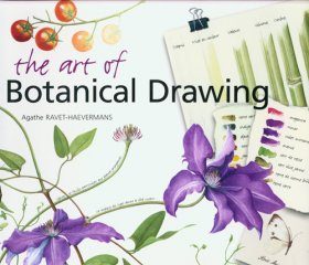 The Art of Botanical Drawing