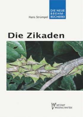 Die Zikaden (Cicadas)