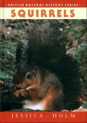 Squirrels