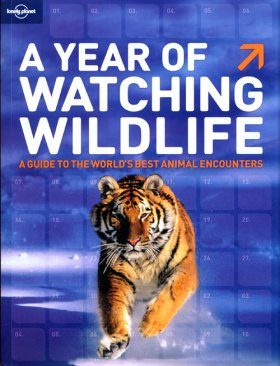 A Year of Watching Wildlife: A Guide to the World's Best Animal Encounters