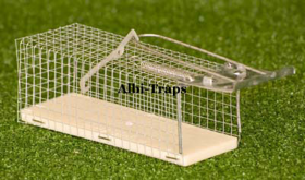Mouse Trap