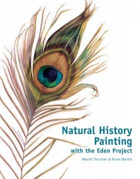 Natural History Painting with the Eden Project