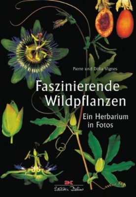 Faszinierende Wildpflanzen