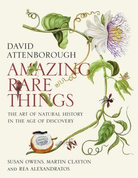 Amazing Rare Things