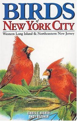 Birds of New York City