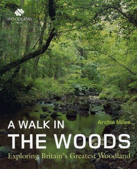 A Walk in the Woods