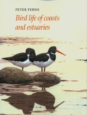 Bird Life of Coasts and Estuaries