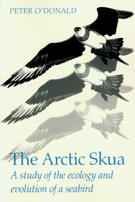 The Arctic Skua