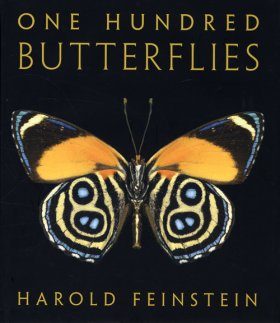 One Hundred Butterflies