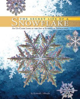 The Secret Life of a Snowflake