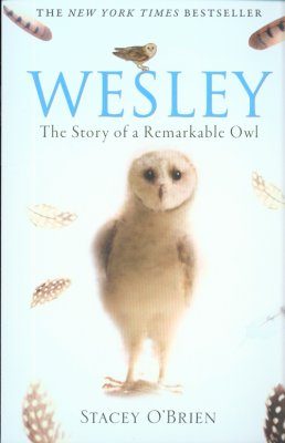 Wesley: The Story of a Remarkable Owl