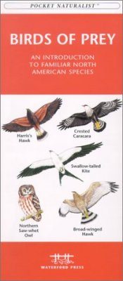 Birds of Prey