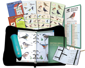 BirdVoice
