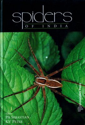 Spiders of India