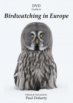 DVD Guide to Birdwatching in Europe (All Regions)