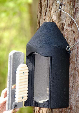 2F Schwegler Bat Box with Double Front Panel