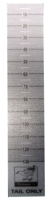 130mm Clear Plastic Bird Tail Rule
