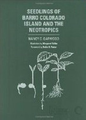 Seedlings of Barro Colorado Island and the Neotropics