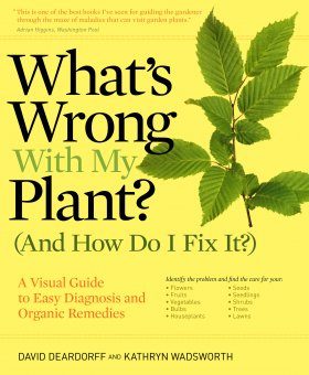 What's Wrong with My Plant (and How Do I Fix It)?