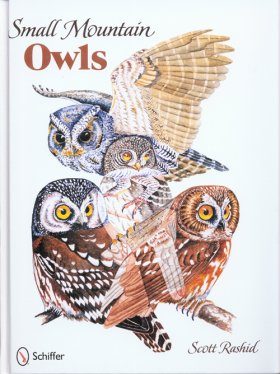 Small Mountain Owls