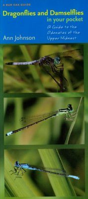 Dragonflies and Damselflies in Your Pocket