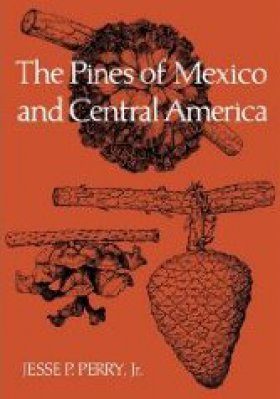 The Pines of Mexico and Central America
