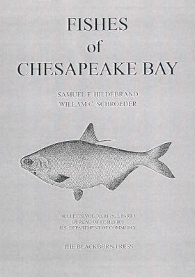 Fishes of Chesapeake Bay