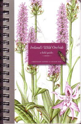 Ireland's Wild Orchids