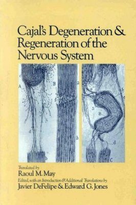 Cajal's Degeneration and Regeneration of the Nervous System