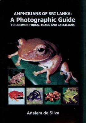 Amphibians of Sri Lanka