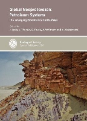 Global Neoproterozoic Petroleum Systems