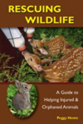 Rescuing Wildlife