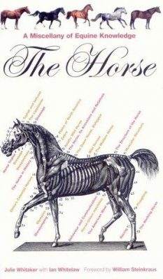 The Horse