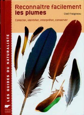 Reconnaitre Facilement les Plumes