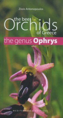 The Bee Orchids of Greece