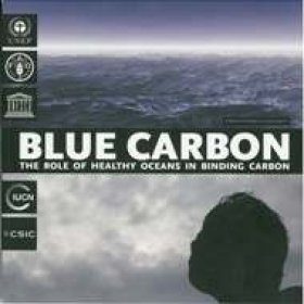 Blue Carbon