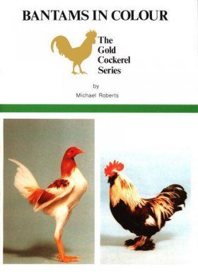 Bantams in Colour