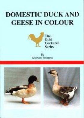 Domestic Duck and Geese in Colour