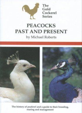 Peacocks Past and Present