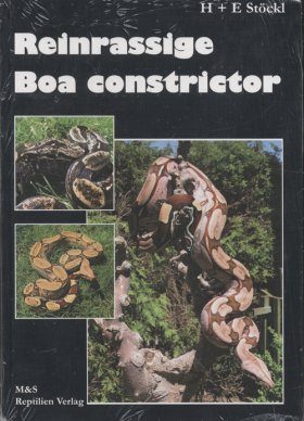 Reinrassige Boa Constrictor