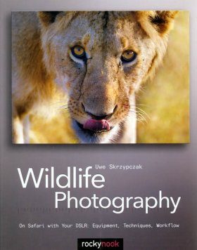 Wildlife Photography