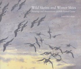 Wild Skeins and Winter Skies