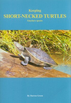 Keeping Short-Necked Turtles