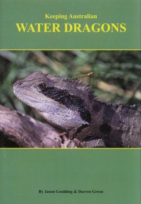 Keeping Australian Water Dragons